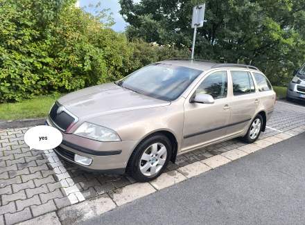 Škoda - Octavia 1.9 TDI (105 Hp)