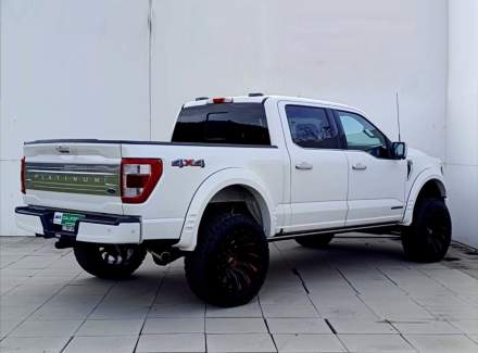 Ford - F-150