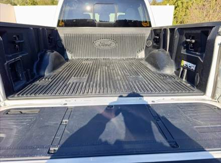 Ford - F-150