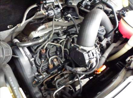 Volkswagen - Transporter