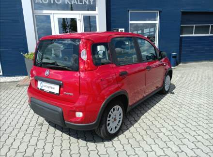 Fiat - Panda