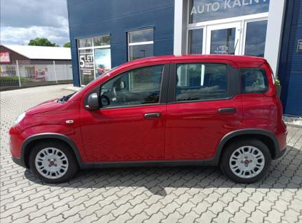 Fiat - Panda