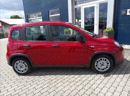 Fiat - Panda