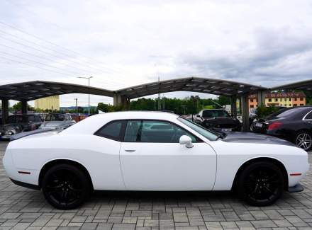 Dodge - Challenger