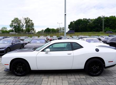 Dodge - Challenger