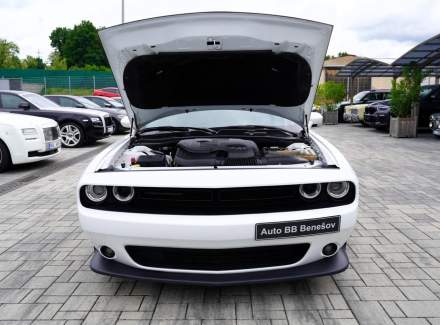Dodge - Challenger