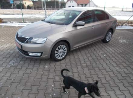 Škoda - Rapid