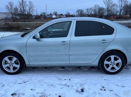 Škoda - Octavia