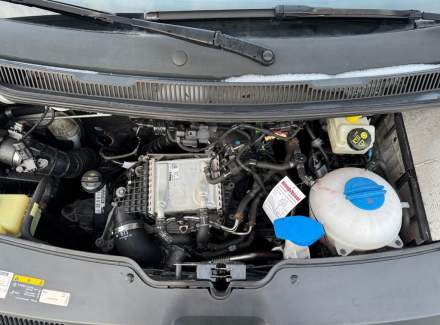 Volkswagen - Multivan