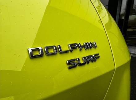 BYD - Dolphin Surf