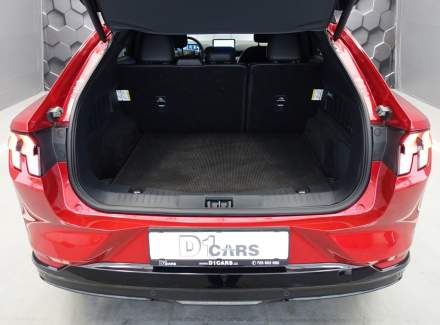 Ford - Mustang Mach-E