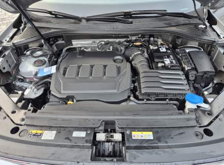 Volkswagen - Tiguan R-Line 2.0 TDI (150 Hp) 4MOTION SCR DSG