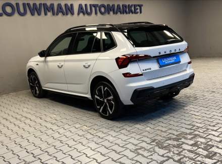 Škoda - Kamiq