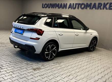 Škoda - Kamiq