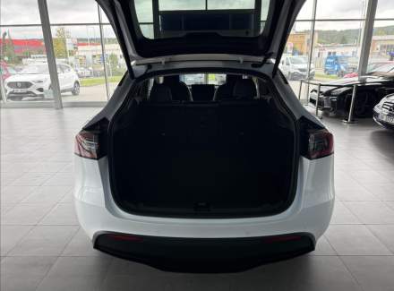 Tesla - Model Y