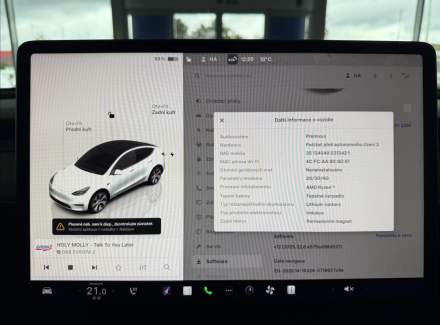 Tesla - Model Y