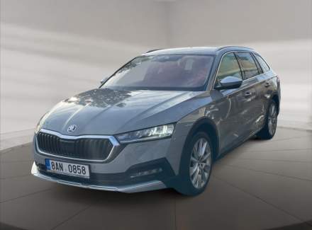 Škoda - Octavia