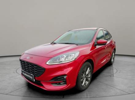 Ford - Kuga