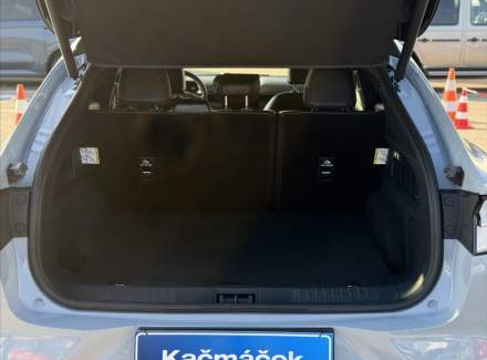 Ford - Mustang Mach-E