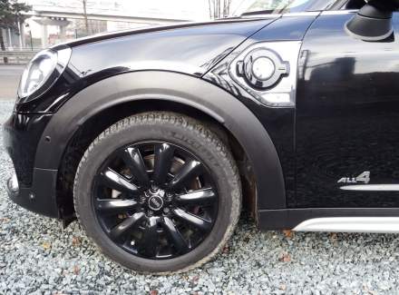 Mini - Countryman
