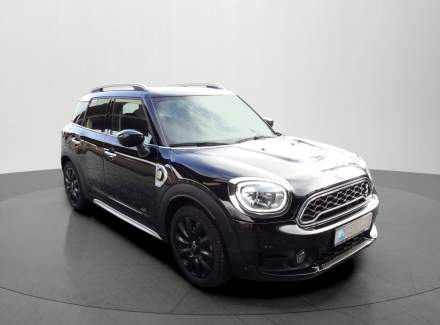 Mini - Countryman