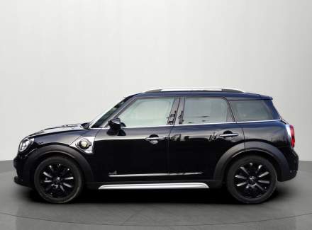 Mini - Countryman