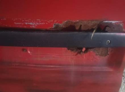 Volkswagen - Transporter