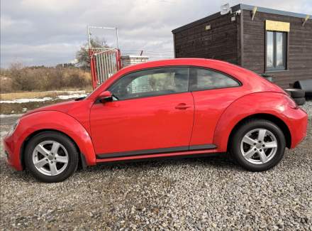 Volkswagen - Beetle
