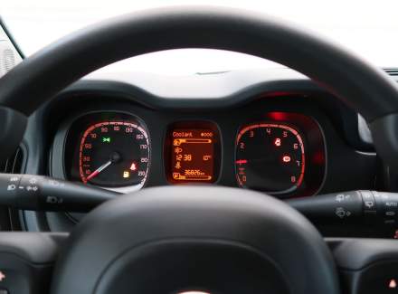 Fiat - Panda