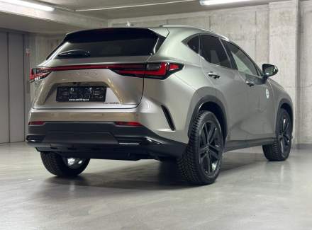 Lexus - NX