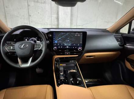 Lexus - NX