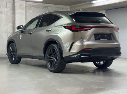 Lexus - NX