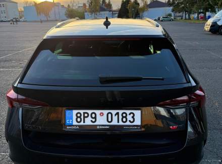 Škoda - Octavia 2.0 TDI (200 Hp) 4x4 DSG