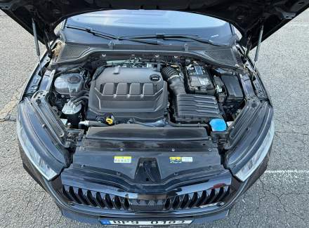 Škoda - Octavia 2.0 TDI (200 Hp) 4x4 DSG