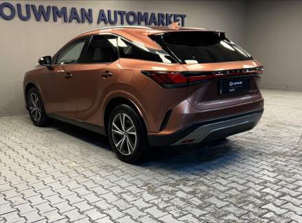 Lexus - RX