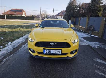 Ford - Mustang
