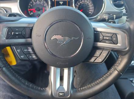 Ford - Mustang