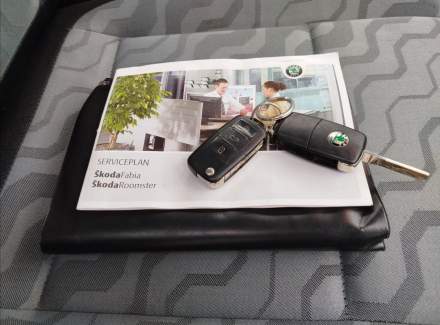 Škoda - Roomster