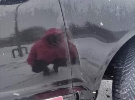 Volkswagen - Touareg