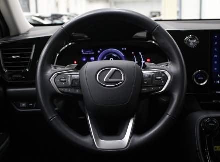Lexus - NX