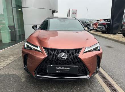 Lexus - UX
