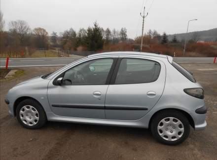 Peugeot - 206