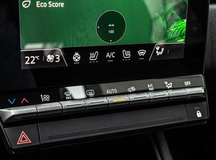 Mitsubishi - Grandis