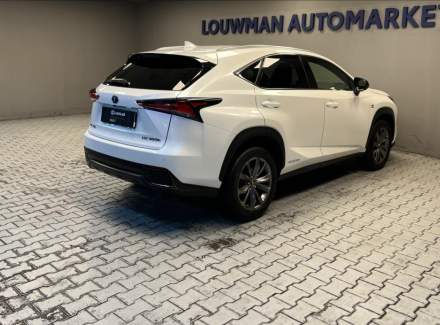 Lexus - NX