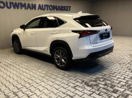 Lexus - NX