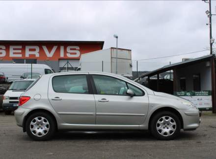 Peugeot - 307