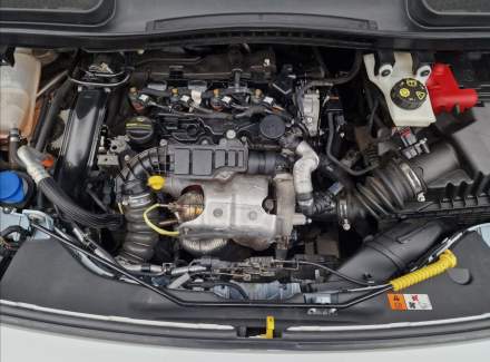 Ford - Transit Connect