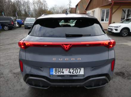 Cupra - Terramar