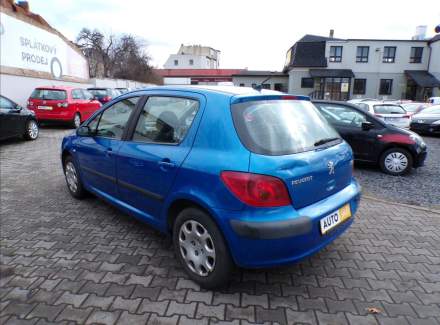 Peugeot - 307