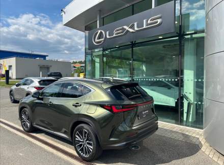 Lexus - NX